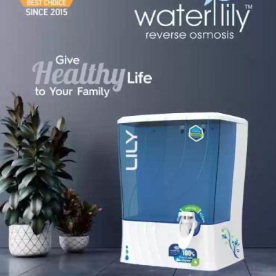 Water Lilly Harsiddhi Enterprise 12-Litre RO + B12 + TDS Water Purifier (Blue) (And Free Installation kit, Spun Filter & Bowl and Spaner)